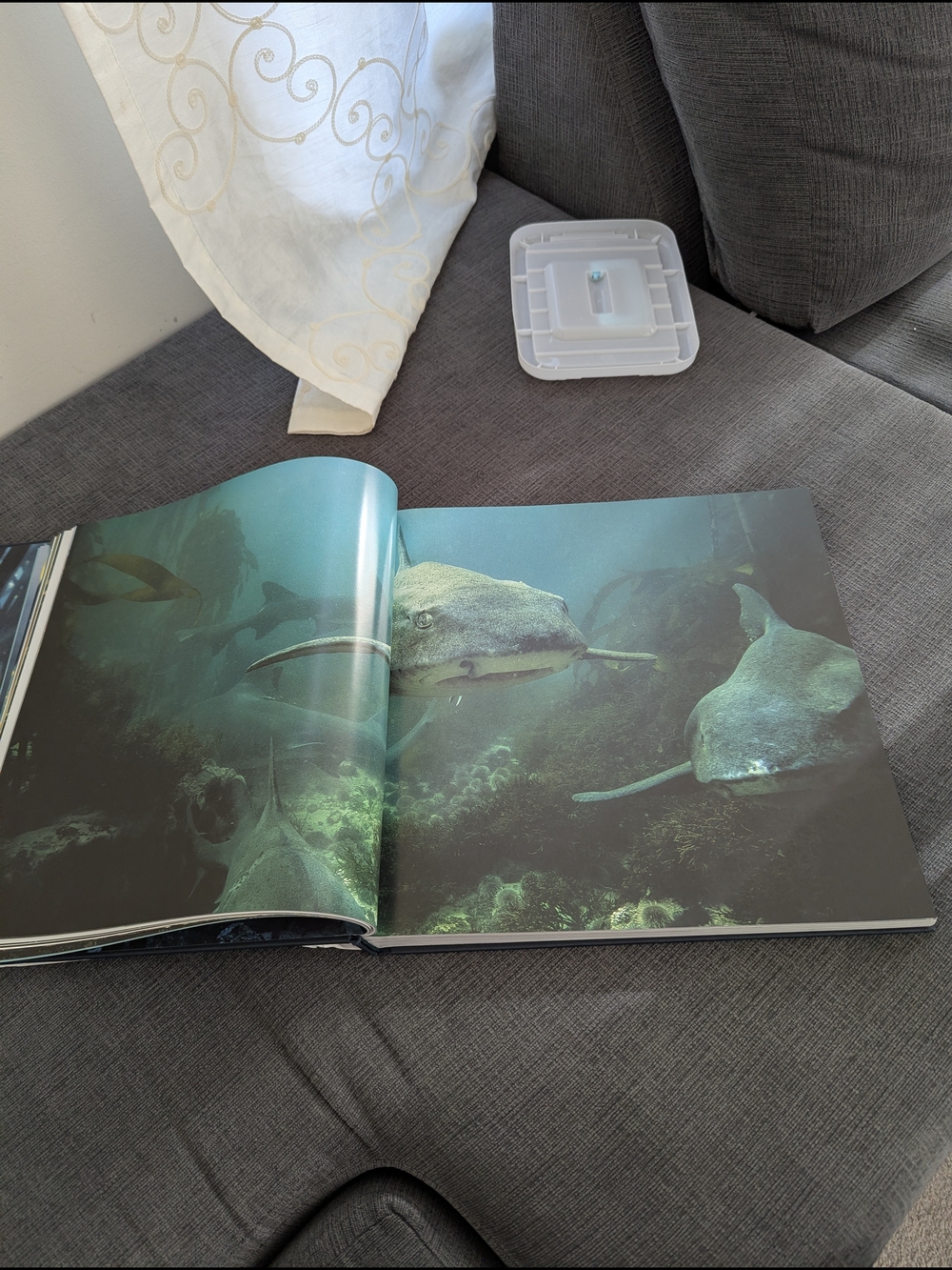 Underwater Wild Hardcover Book - Teal & Orange Cover - Picture 4 of 6